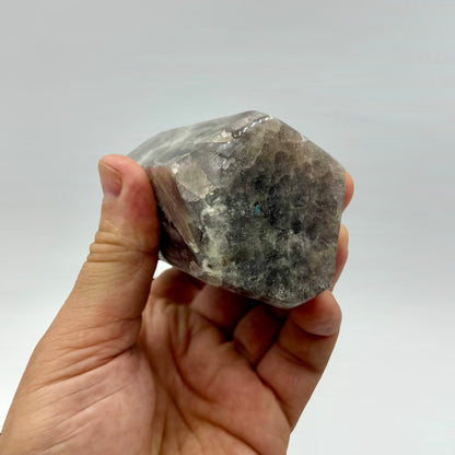 Prasiotrino punta generadora 649 gr.