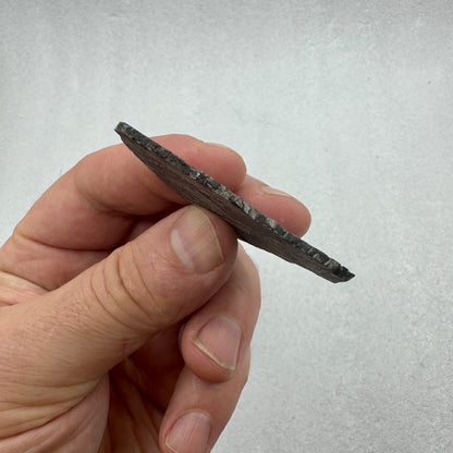Fragmento de meteorito Muonionalusta pulido con figuras de Widmanstätten