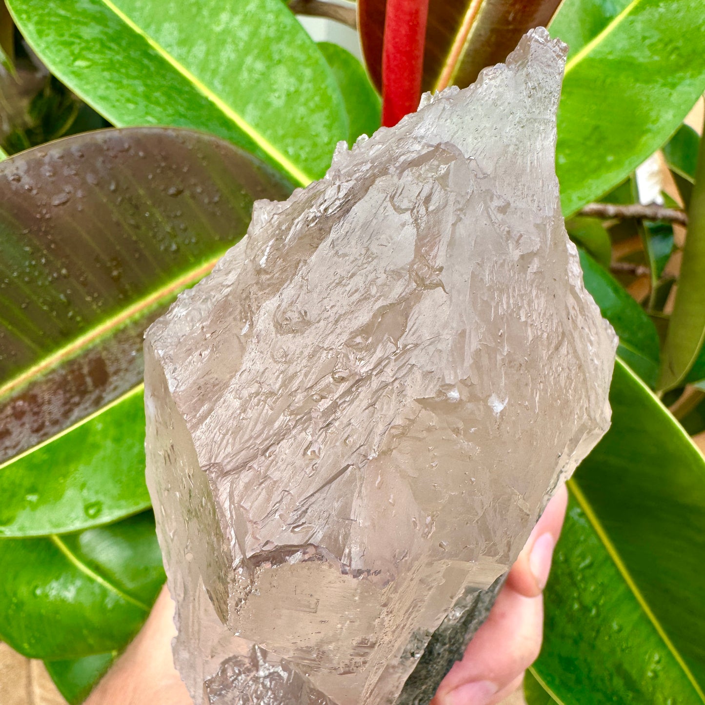 Cuarzo Himalaya con elbaita