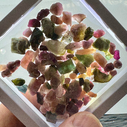 Turmalina multicolor lote Munay Minerales Mallorca