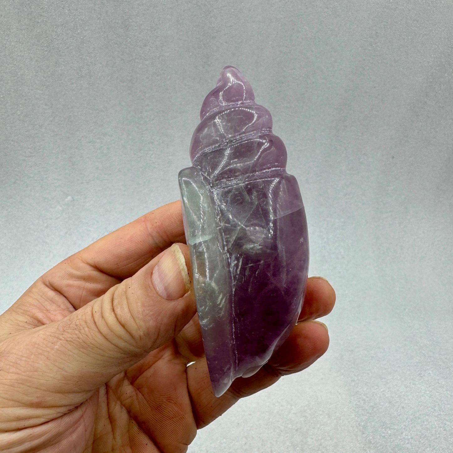 Caracola de fluorita