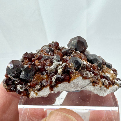 Garnets on matrix Munay Minerals Mallorca