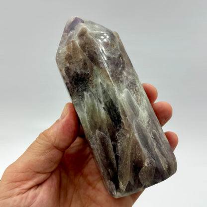 Prasiotrino punta generadora 649 gr.