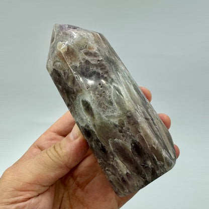 Prasiotrino punta generadora 649 gr.