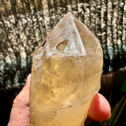 Elestial Citrine with Green Tourmaline