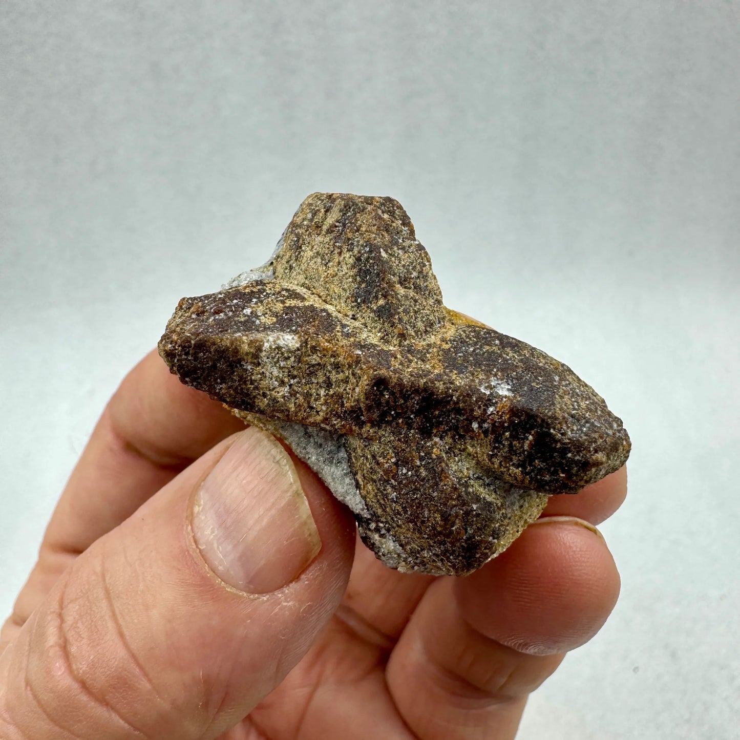 Estaurolita Cruz de Hada - MUNAY MINERALES MALLORCA