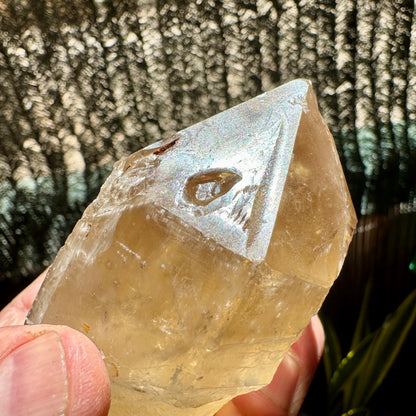 Elestial Citrine with Green Tourmaline