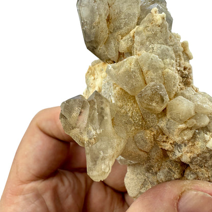 Quartz scepters on matrix