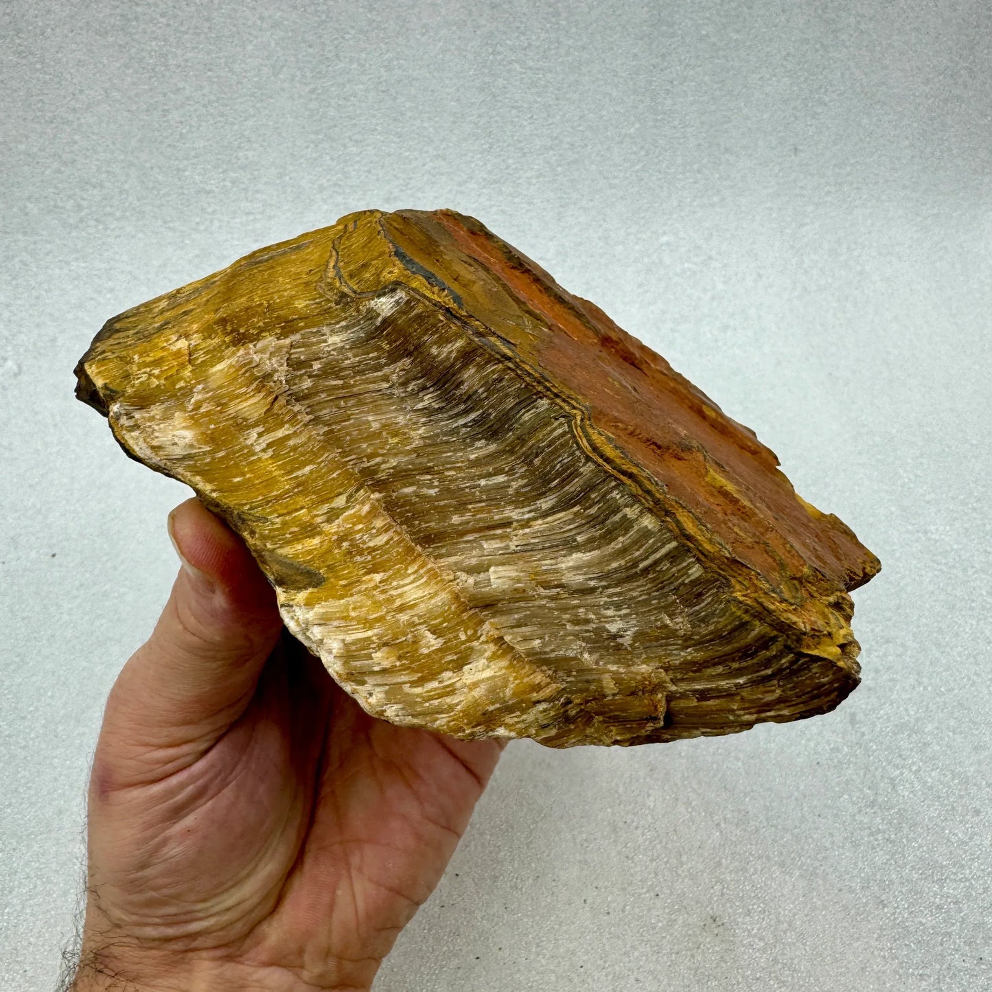 Ojo de tigre en bruto Munay Minerales Mallorca - RM ILLA MUNAY SL