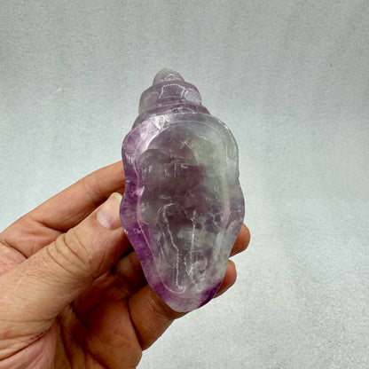 Caracola de fluorita