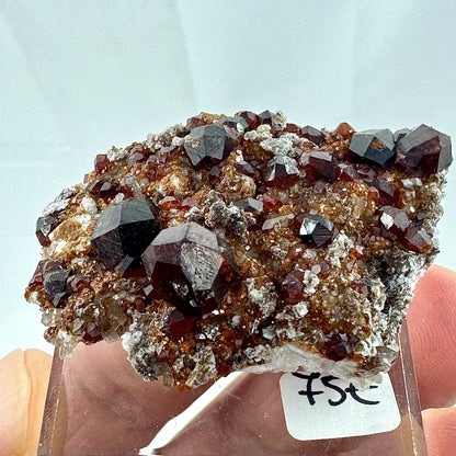 Garnets on matrix Munay Minerals Mallorca