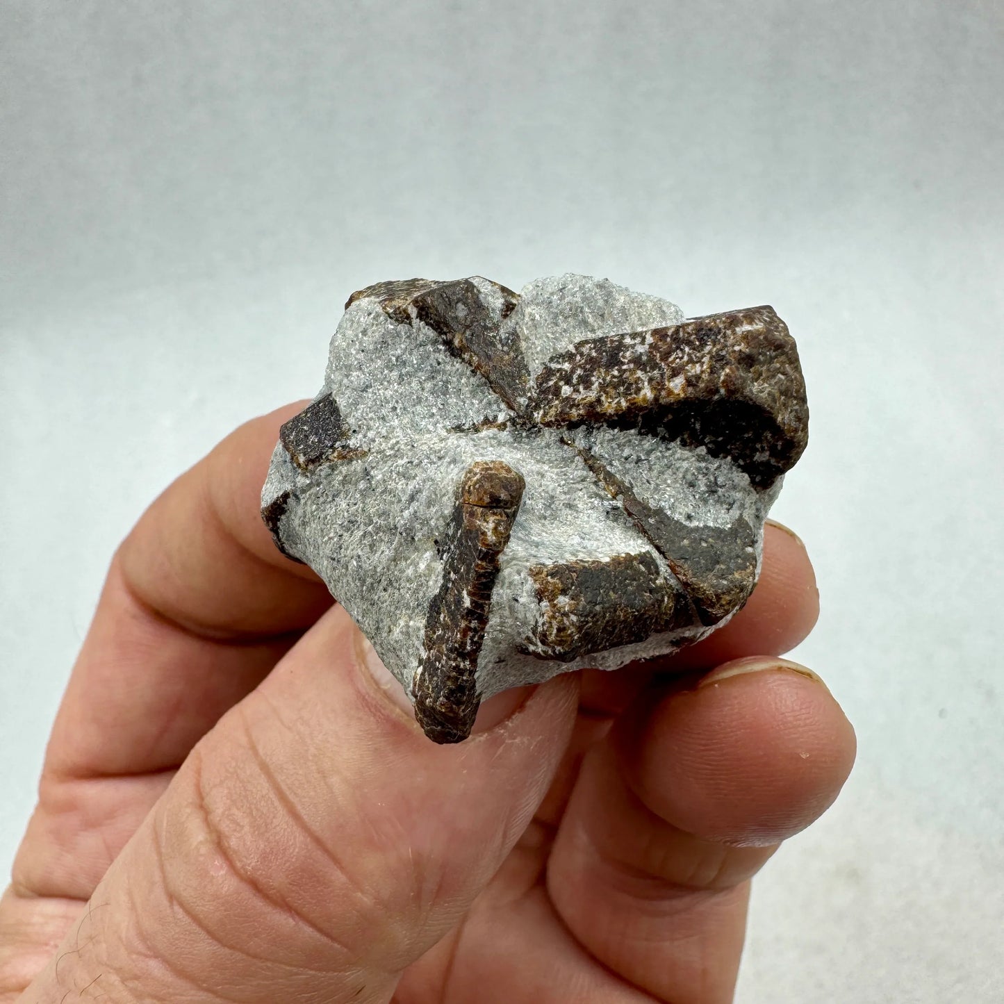 Estaurolita Cruz de Hada - MUNAY MINERALES MALLORCA