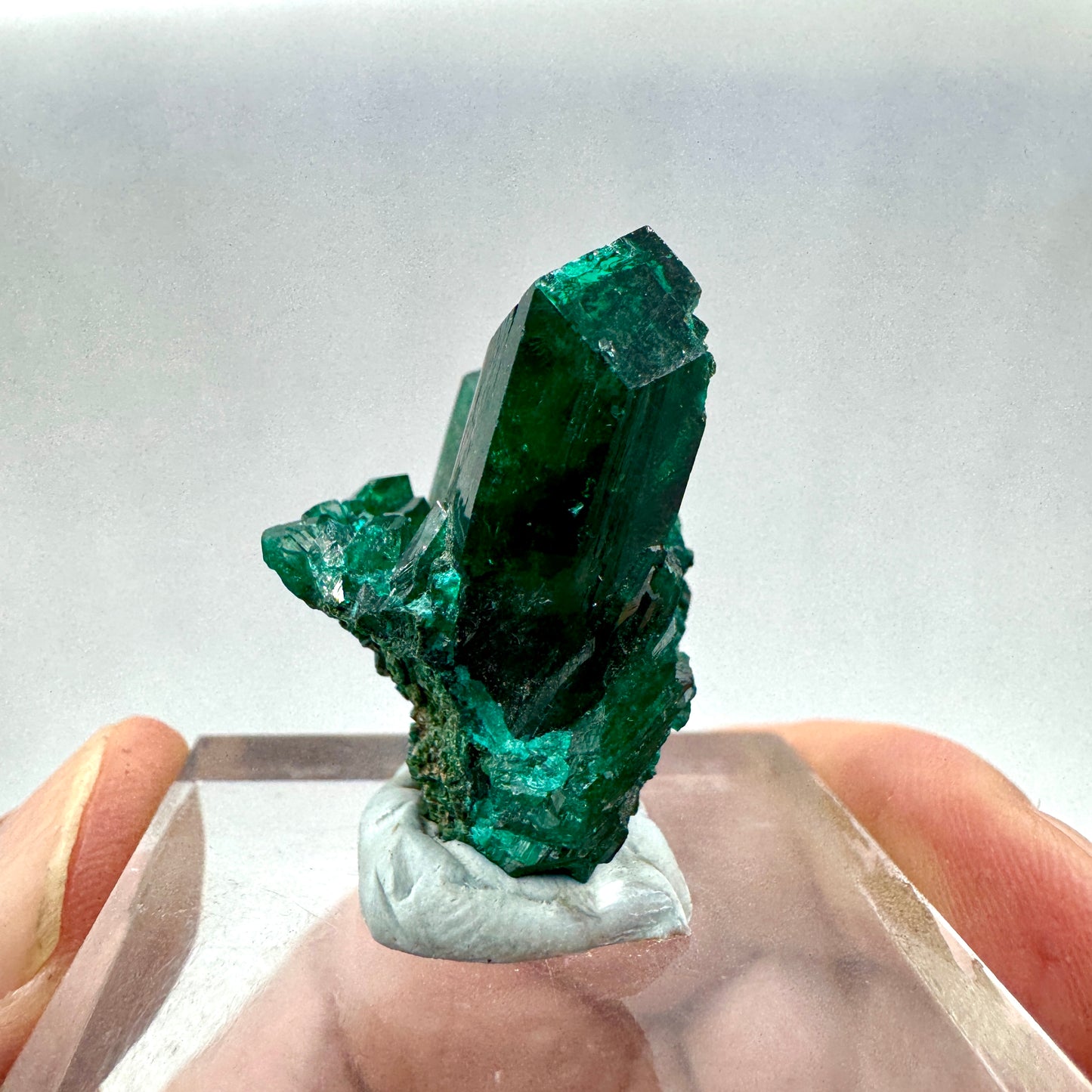 Dioptasa Munay Namibia África