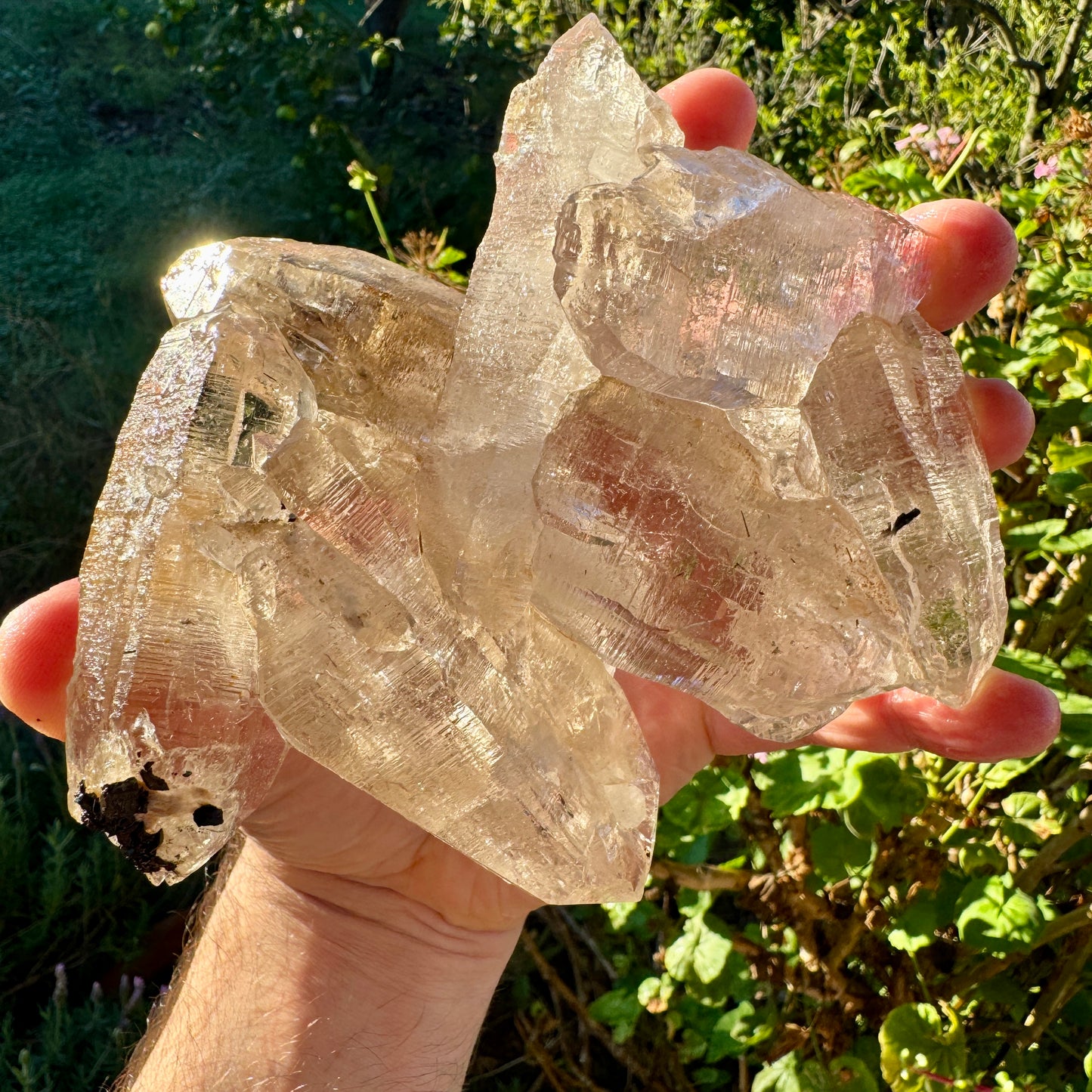 Cuarzo Himalaya Pakistán