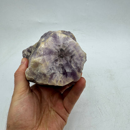 Super Seven punta grande 2,5 kg.