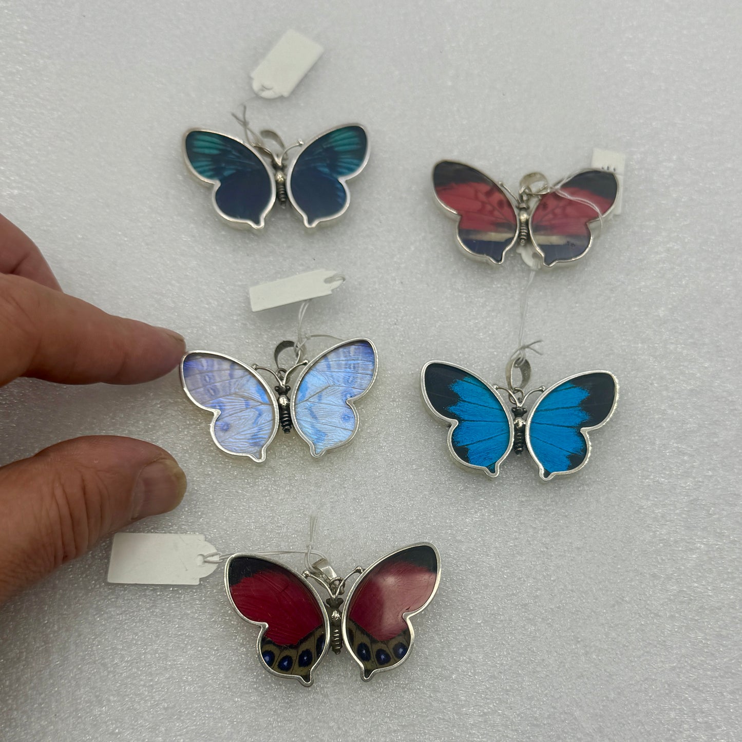 Escamas de mariposa real colgante en plata de ley
