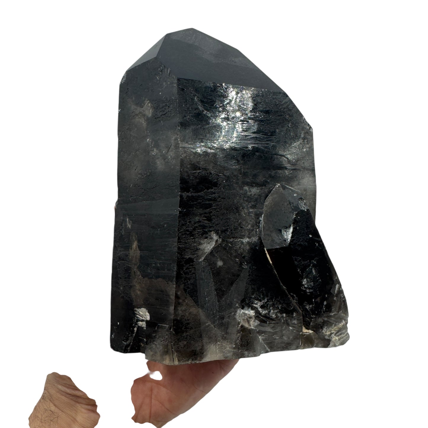 Cuarzo ahumado 1,6 kg. Munay Minerales Mallorca