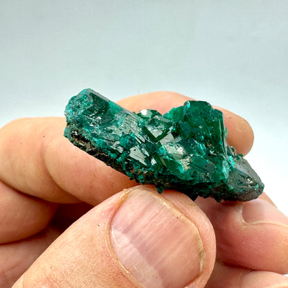 Dioptase Munay Minerals Mallorca