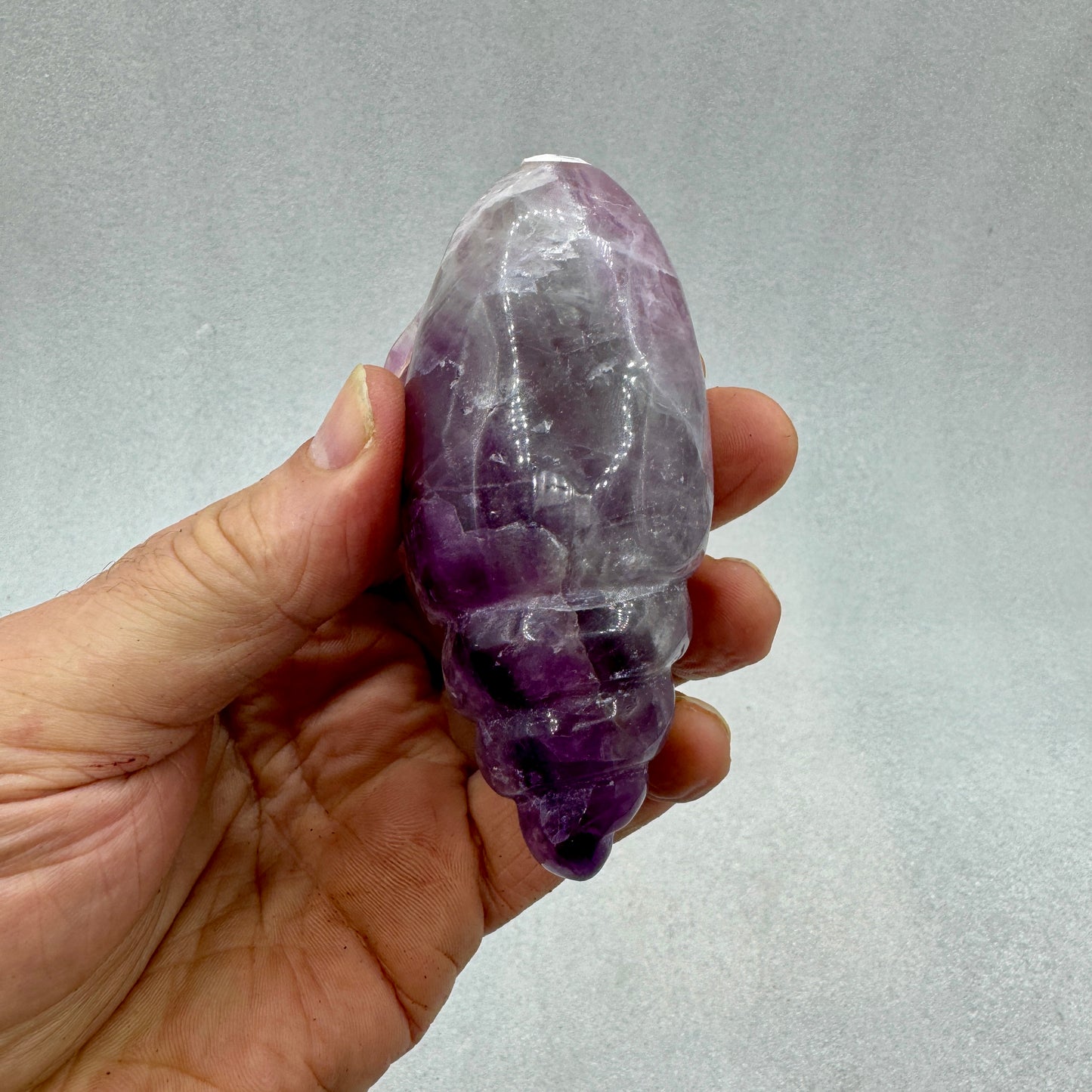 Caracola de fluorita