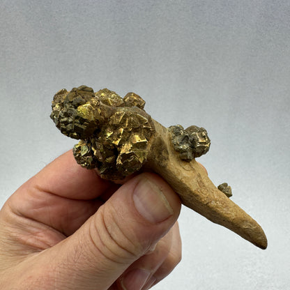 Pirita en grupo matriz Pakistán