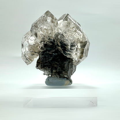 Cuarzo diamante Herkimer cetro