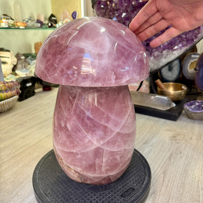 Munay Minerales Palma de Mallorca