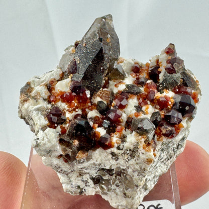 Garnets and smoky quartz on matrix