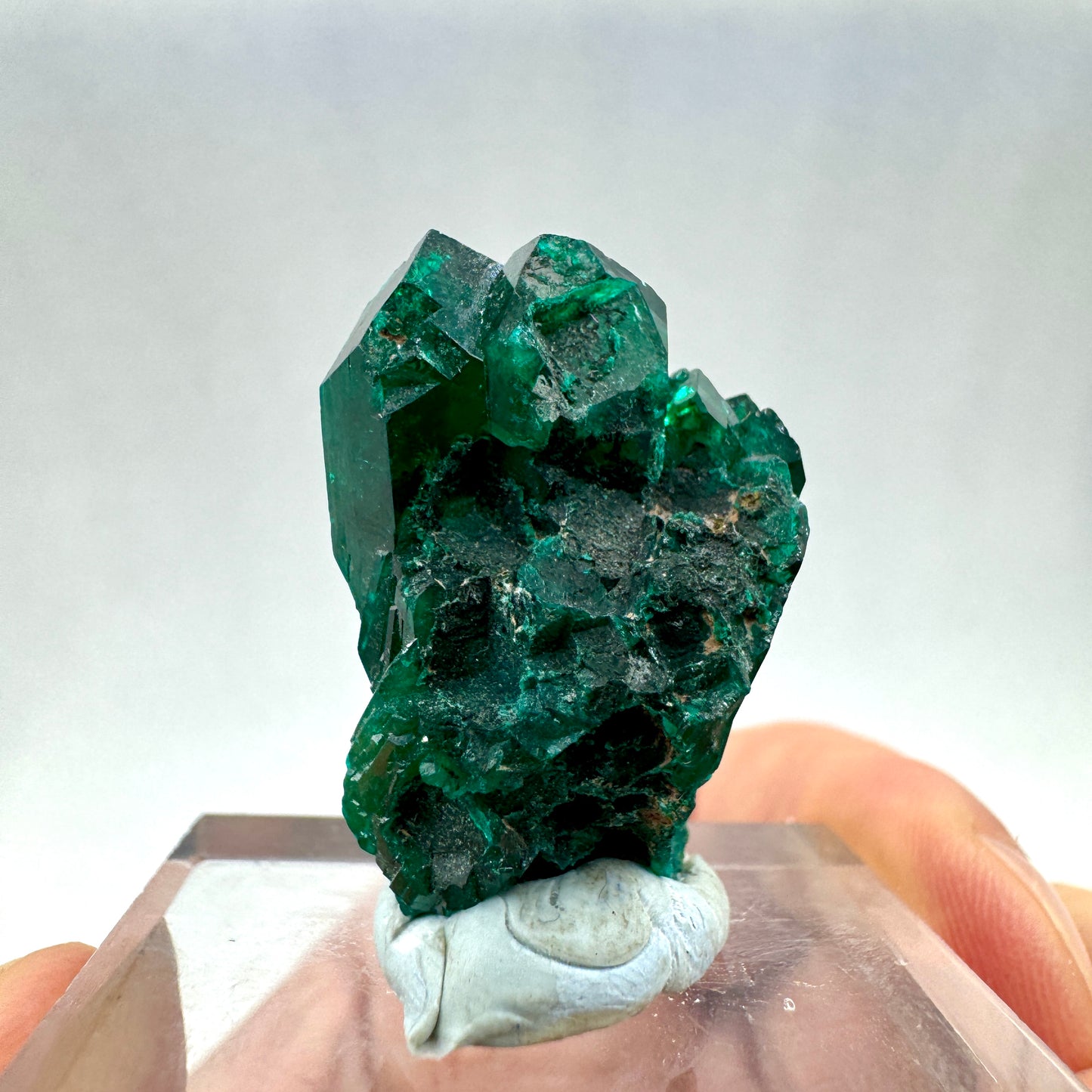 Dioptasa Munay Namibia África