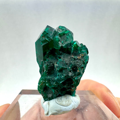 Dioptasa Munay Namibia África