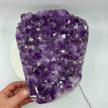 Drusa de amatista 11,3 kg. Munay Minerales Mallorca