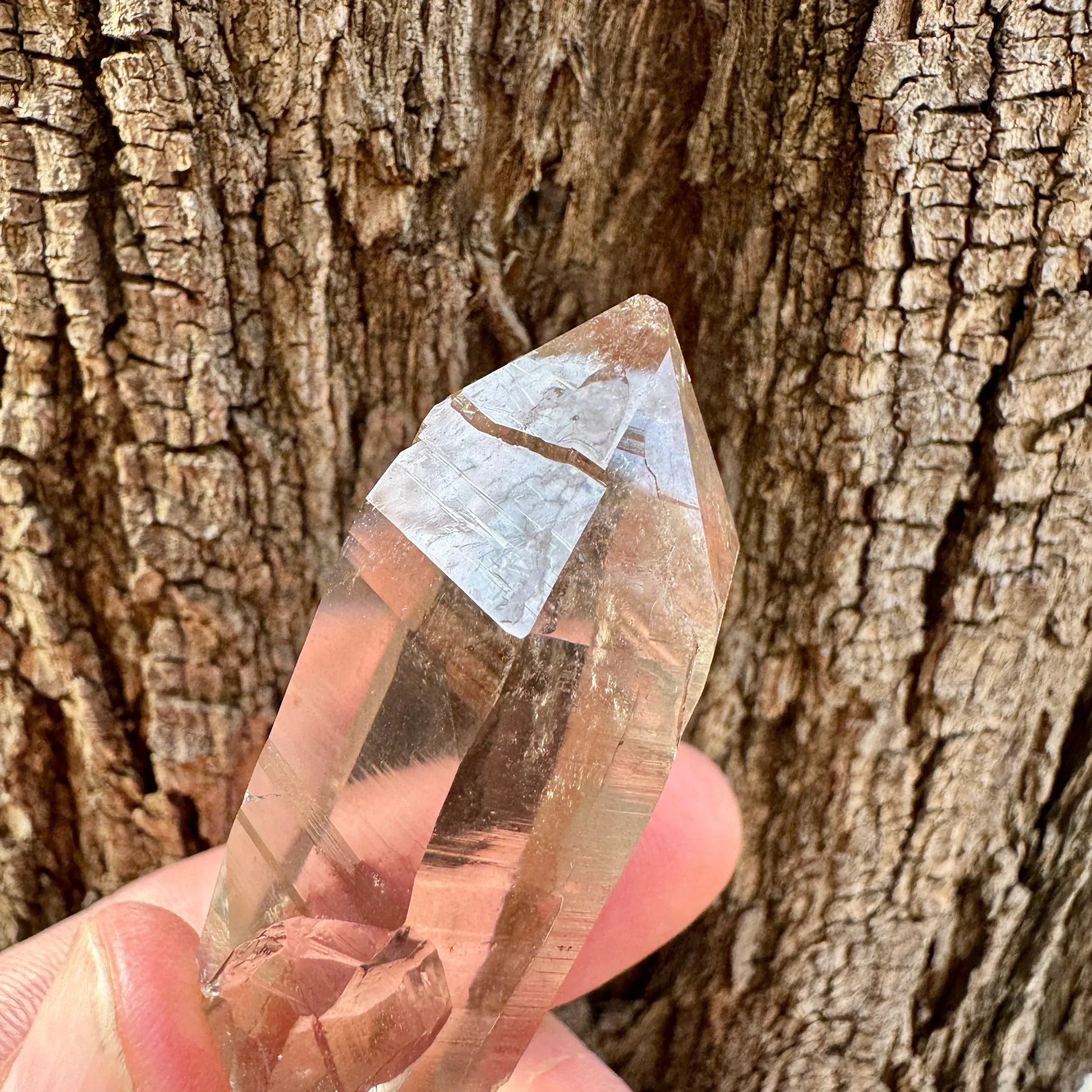 Cuarzo de Suiza Quartz Crystal - Munay Minerales Palma de Mallorca Spain 