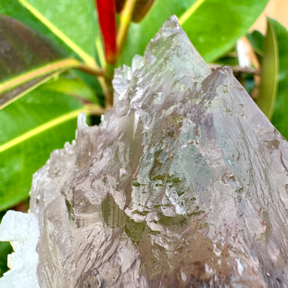 Cuarzo Himalaya con elbaita