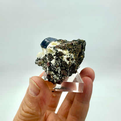 Blue sapphire in a garnet cluster