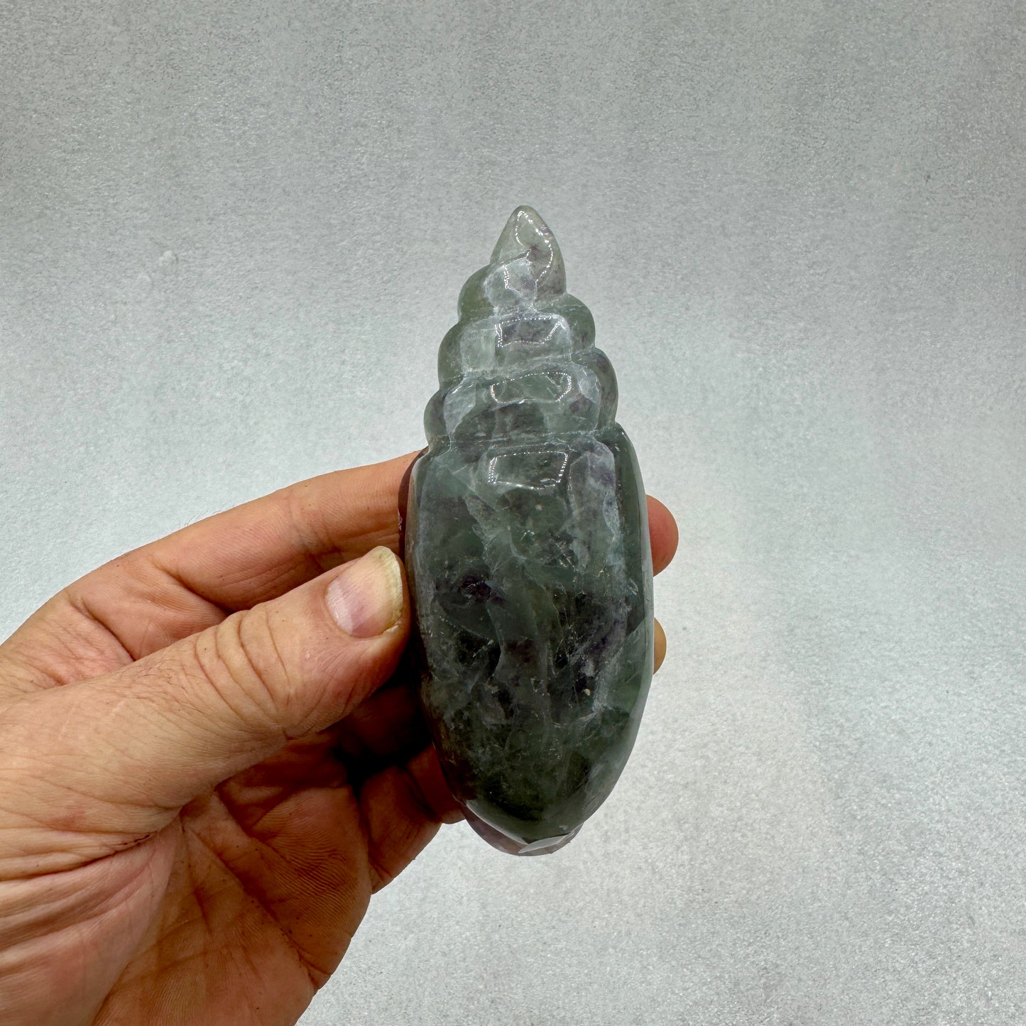 Caracola de fluorita