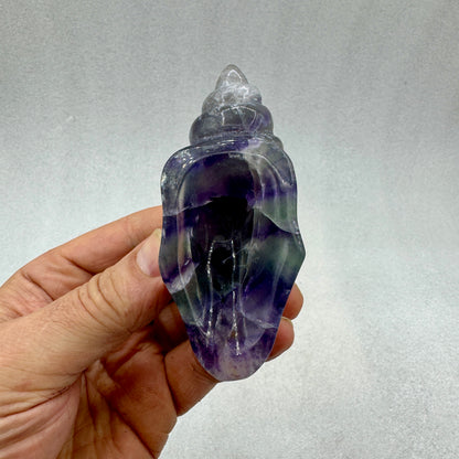 Caracola de fluorita