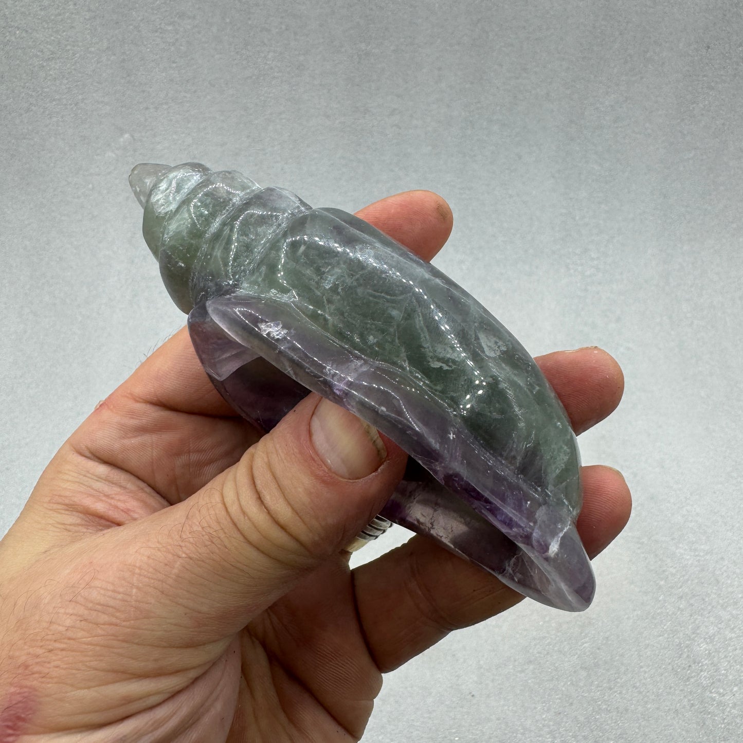 Caracola de fluorita