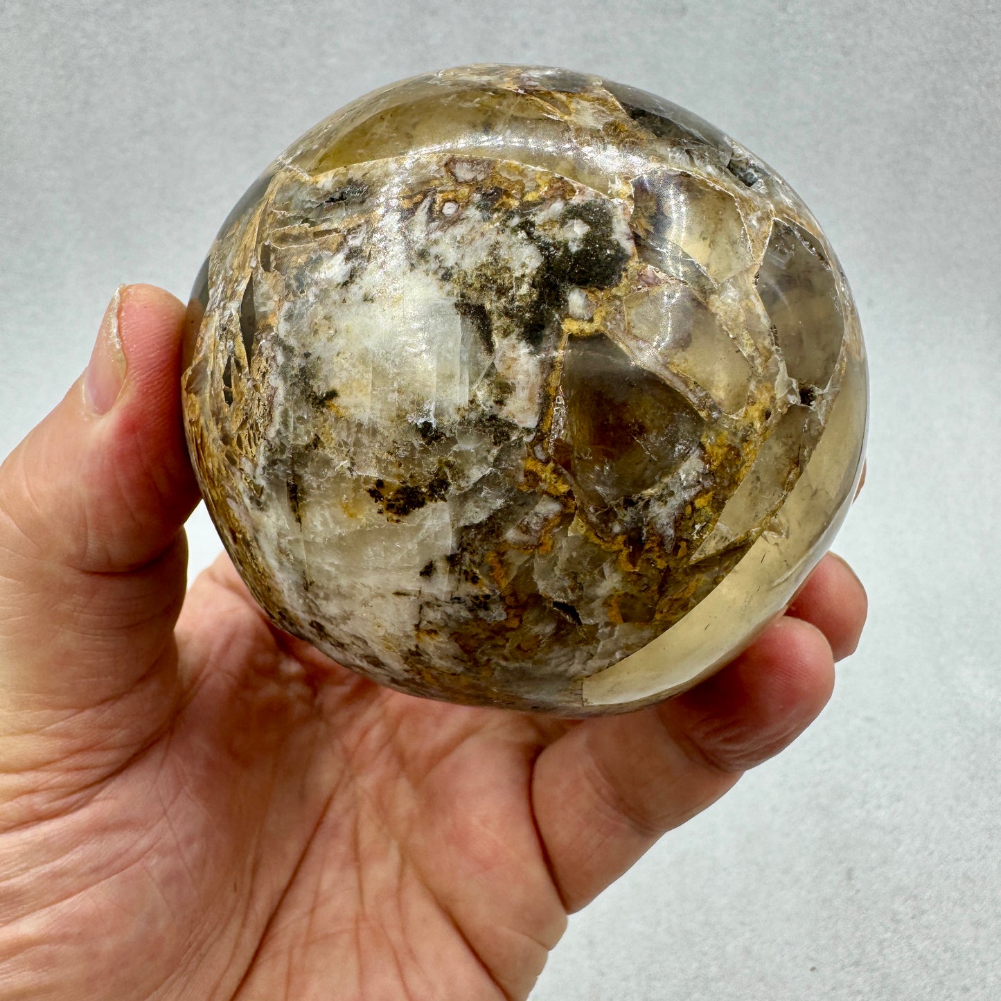 Quantum Quattro esfera