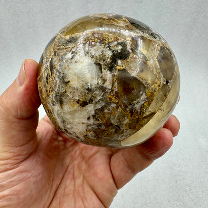Quantum Quattro esfera