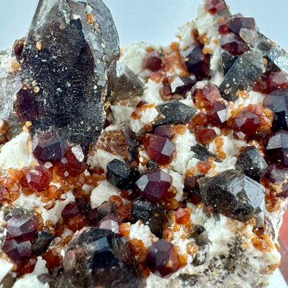 Garnets and smoky quartz on matrix