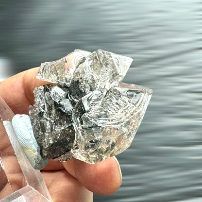 Cuarzo diamante Herkimer cetro