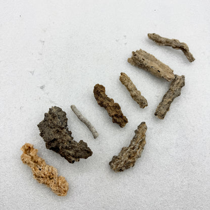 Fulgurita Munay Minerales Mallorca Munay Minerales Mallorca