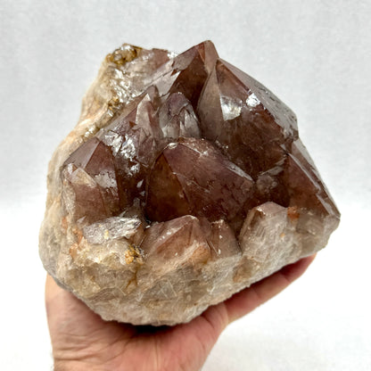 Cuarzo hematoide grupo 5,5 kg.origen España - MUNAY MINERALES MALLORCA