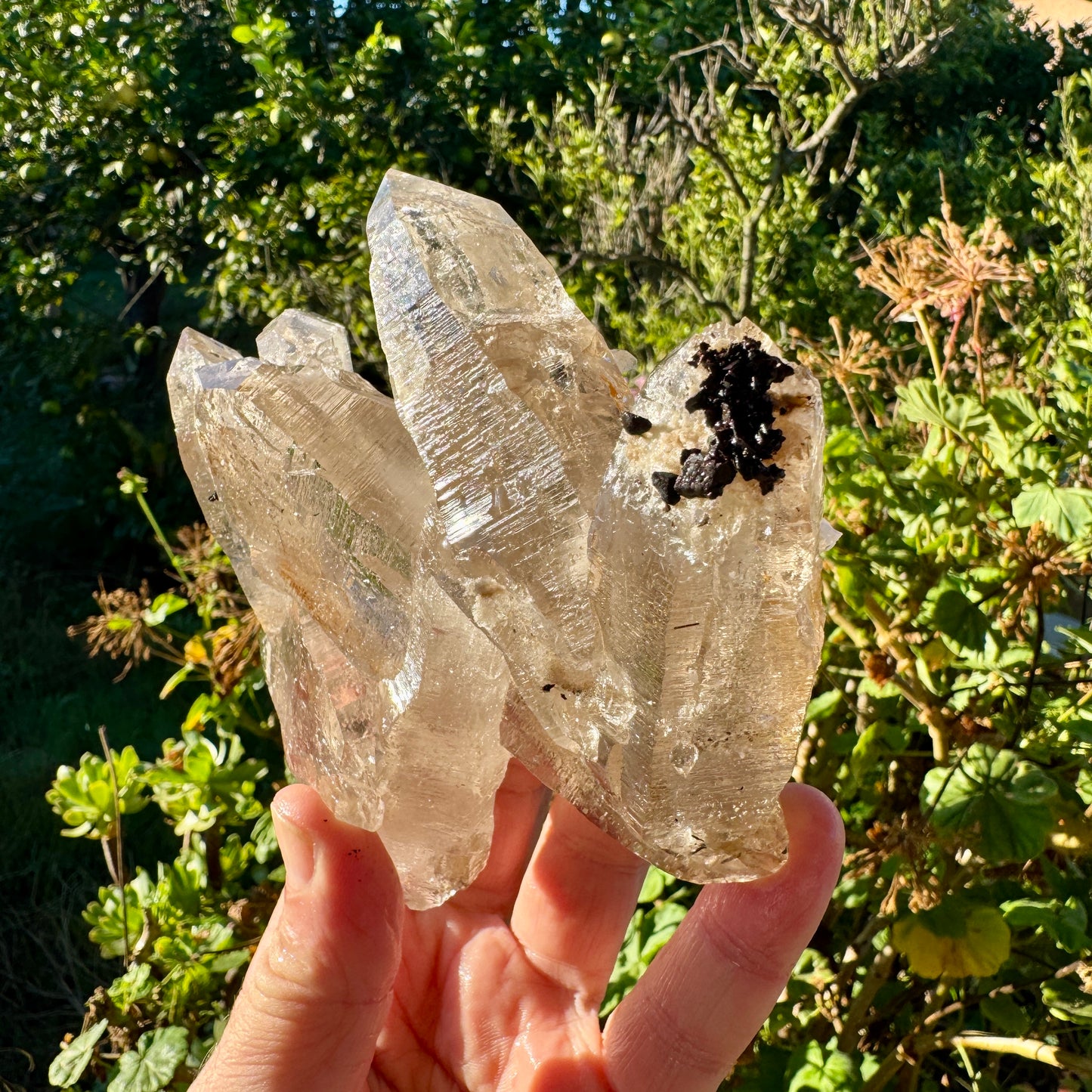 Cuarzo Himalaya Pakistán