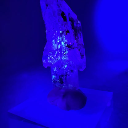 Cuarzo cetro hidrocarburos fluorescente