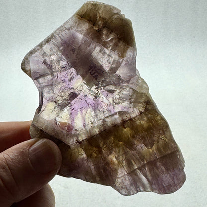 Auralita 23 rodaja pulida