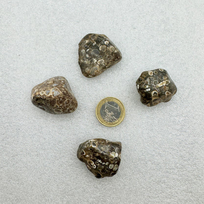 Jaspe turritella Munay Minerales Mallorca Munay Minerales Mallorca