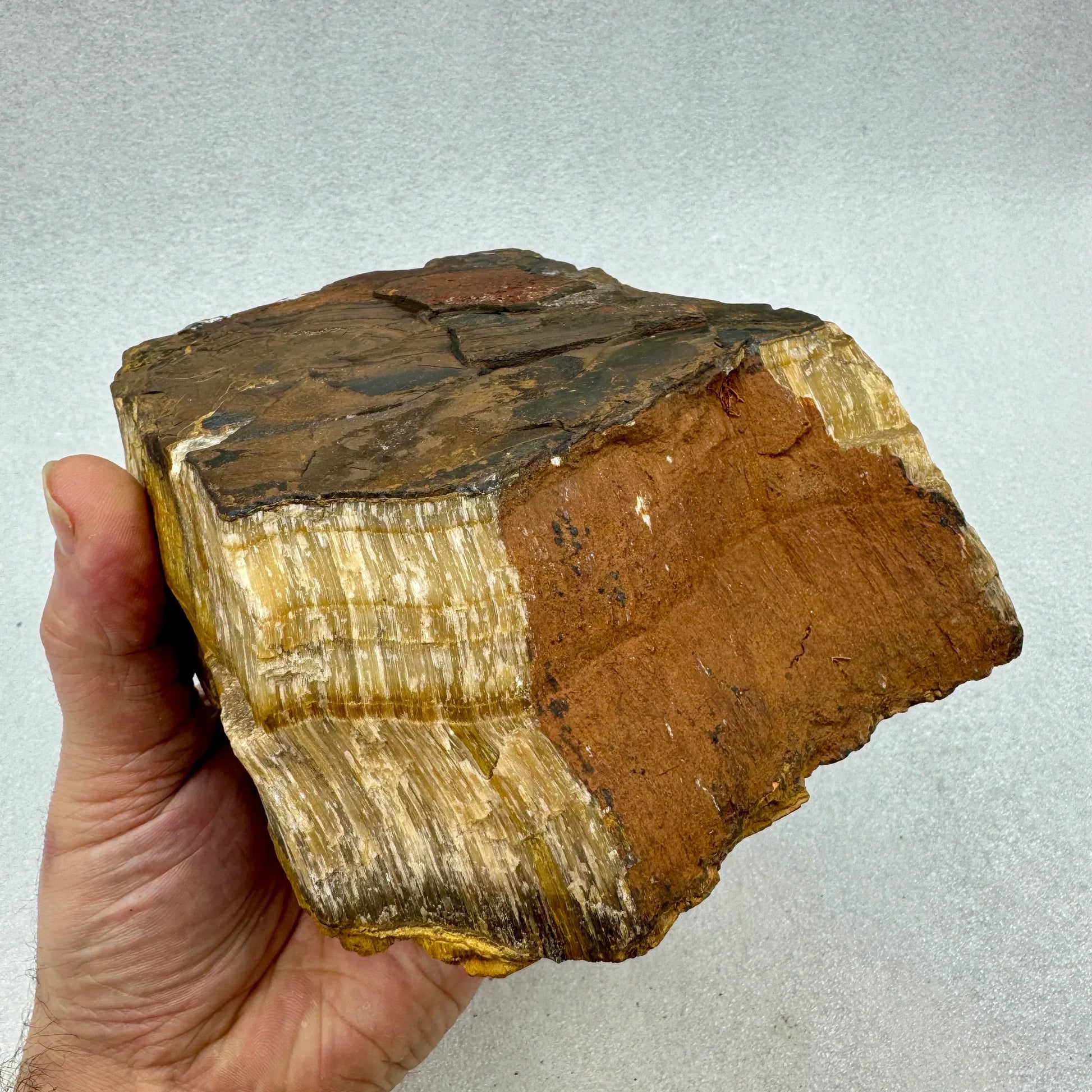 Ojo de tigre en bruto Munay Minerales Mallorca - RM ILLA MUNAY SL