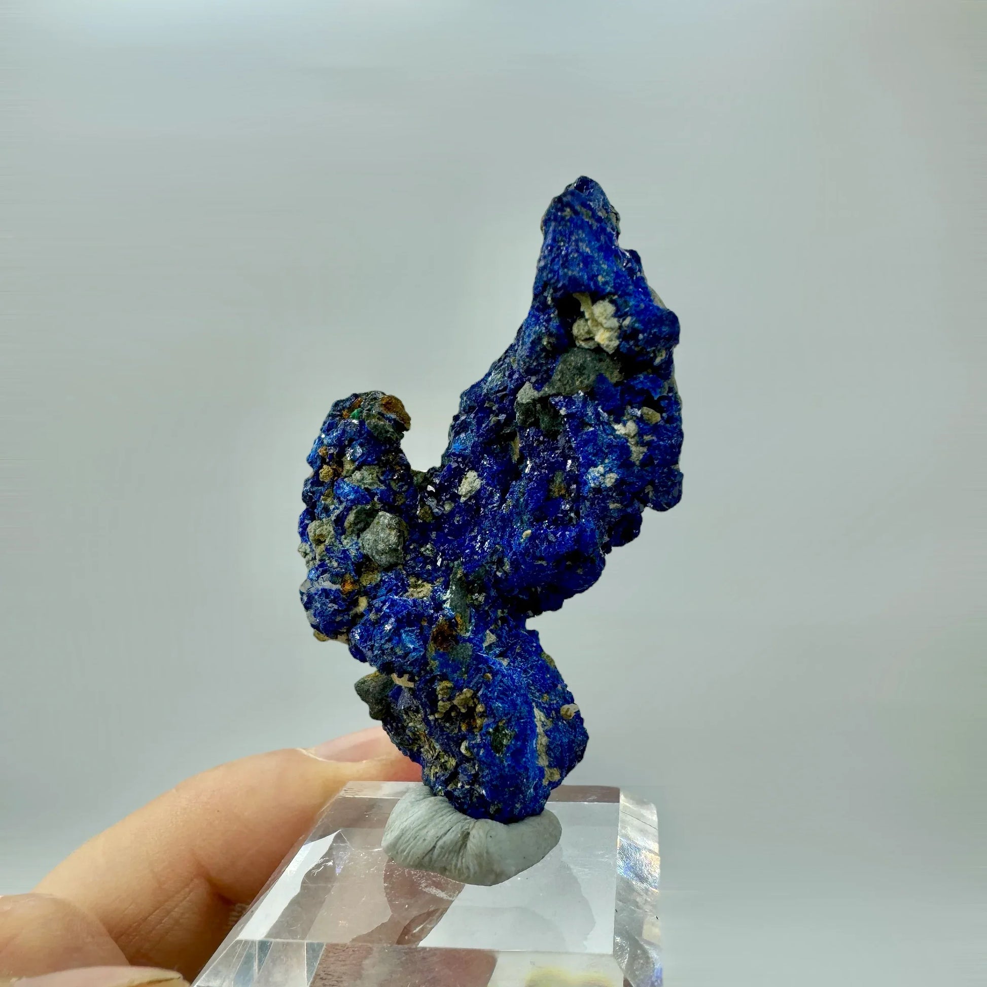 Azurita Munay MInerales Mallorca - MUNAY MINERALES MALLORCA