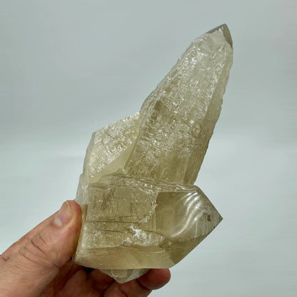 Citrino natural hábito Tessin - MUNAY MINERALES MALLORCA