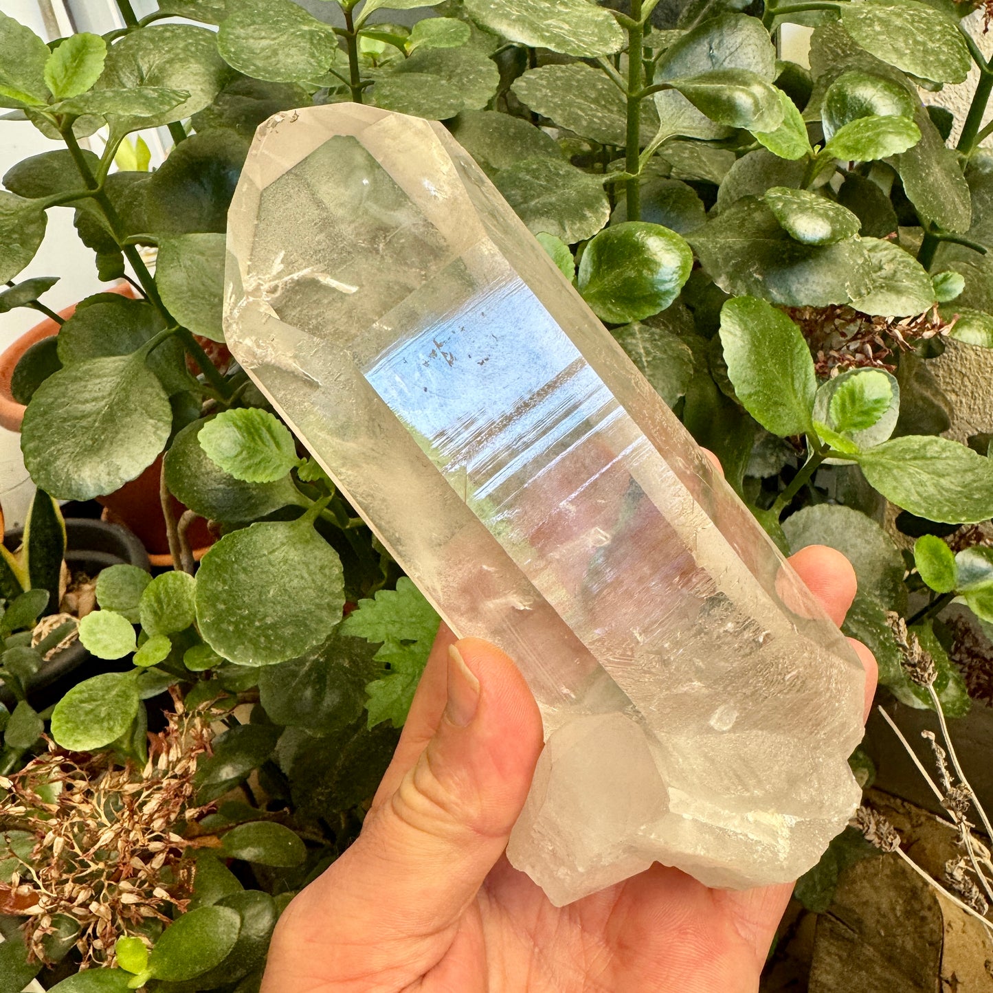 Munay Minerales Palma de Mallorca